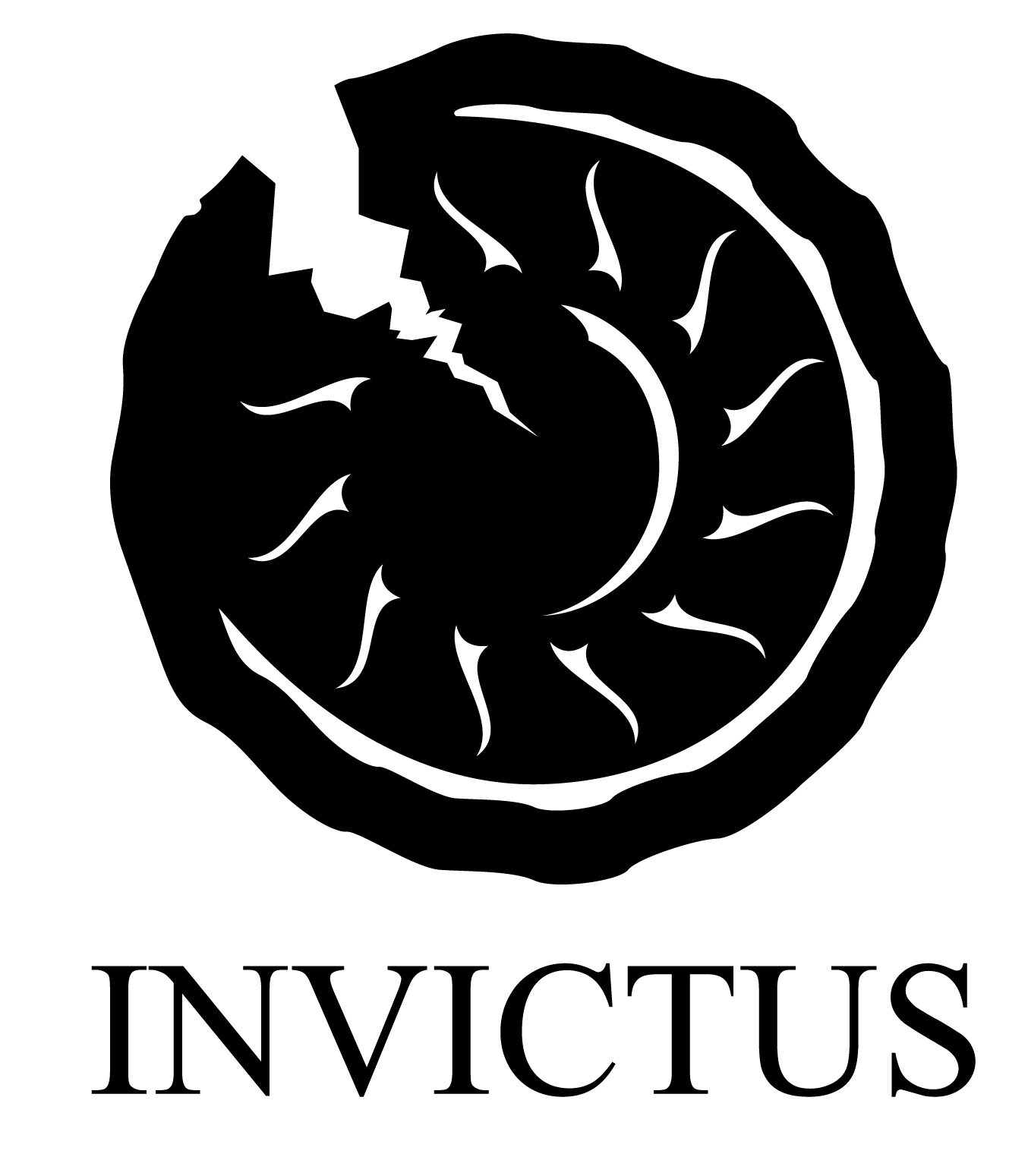 INVICTUS sp. z o.o. – Przedsiębiorstwo Prac Specjalistycznych